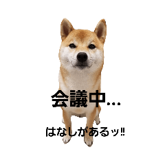 [LINEスタンプ] せれなの日常スタンプ③