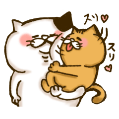 [LINEスタンプ] まがおネコの敬語スタンプ