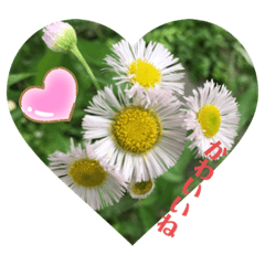 [LINEスタンプ] 花っこ