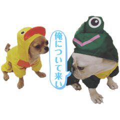 [LINEスタンプ] ロンとよしお2