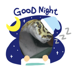 [LINEスタンプ] レオパードのぴんきー