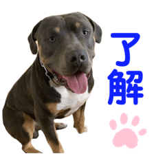 [LINEスタンプ] Tyson/Sally/Moco