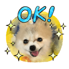 [LINEスタンプ] ぽめぽめ Ⅱ