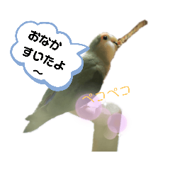 [LINEスタンプ] つーちゃんくーちゃんの日常