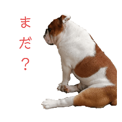 [LINEスタンプ] たとー