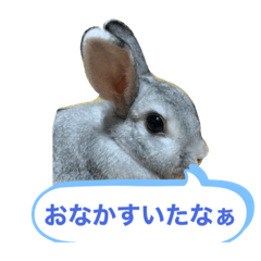 [LINEスタンプ] おでふたち