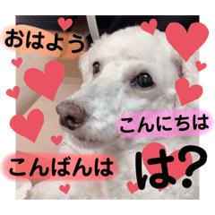 [LINEスタンプ] れれれのはにたんラブユー
