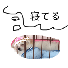 [LINEスタンプ] よもぎさんの日常2の画像（メイン）