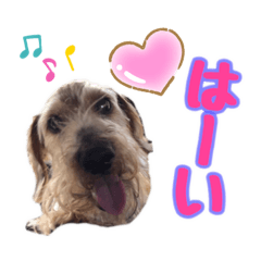 [LINEスタンプ] vanilla＆moka  2