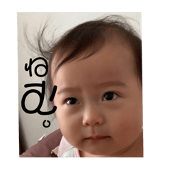 [LINEスタンプ] 日菜咲んぷ