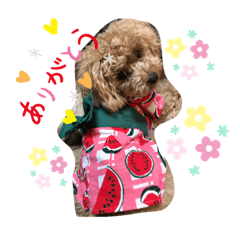 [LINEスタンプ] ゴンとキルアはとても元気です