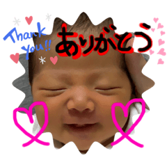 [LINEスタンプ] らっこちゃあぁんスタンプ