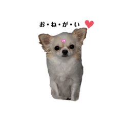 [LINEスタンプ] tofuの気持ち⑤