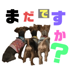 [LINEスタンプ] たぐち家の女の子たち2