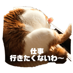 [LINEスタンプ] はっちゃんてんちゃん5