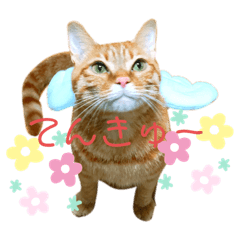 [LINEスタンプ] ひひそそくん