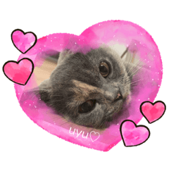 [LINEスタンプ] uyu♡ ③