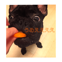 [LINEスタンプ] Nickの日常