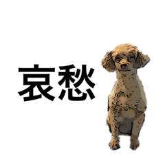 [LINEスタンプ] プドリたち