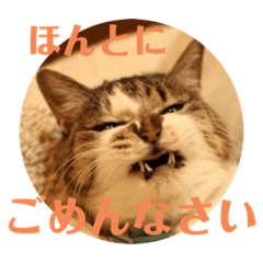 [LINEスタンプ] トマロビーのソバで#あんどんSP