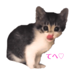 [LINEスタンプ] もずぽんすたんぷ2