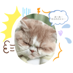 [LINEスタンプ] にゃんこのにゃん②