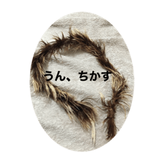 [LINEスタンプ] うんちかす