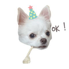 [LINEスタンプ] おおば家のぐりくん♂