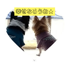 [LINEスタンプ] 初スター2