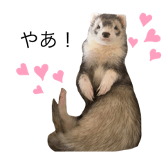 [LINEスタンプ] にょろりんぼーぼ