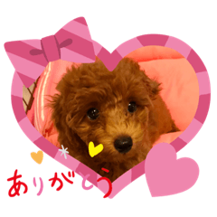 [LINEスタンプ] 癒しのプーちゃんスタンプ⑴