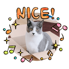 [LINEスタンプ] ニャンニャンメッセージ