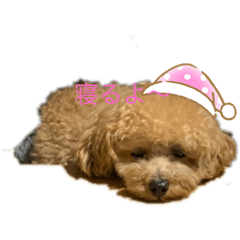 [LINEスタンプ] マルぷっぷ2