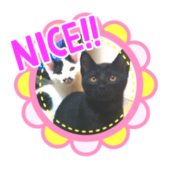 [LINEスタンプ] ナルガ＆ベリオ