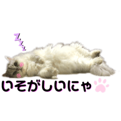 [LINEスタンプ] ネコ犬ときどき鹿