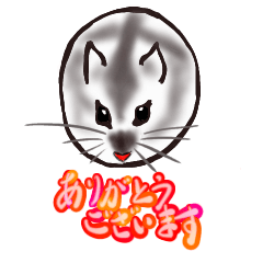 [LINEスタンプ] まんまるはむちゃん_ver.202007