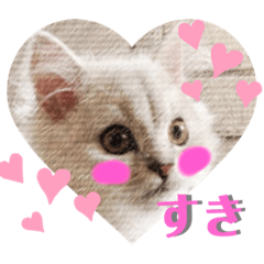 [LINEスタンプ] わんにゃん＆言葉スタンプ
