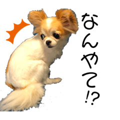 [LINEスタンプ] チビ＆ピノ4