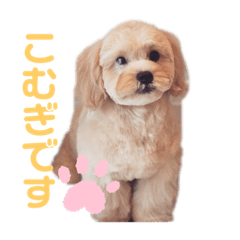 [LINEスタンプ] こむぎ1029