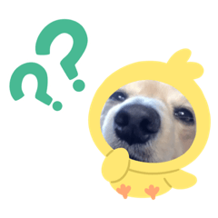 [LINEスタンプ] 宿命のモンクシール