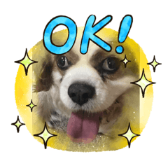 [LINEスタンプ] くまごろうスタンプ03