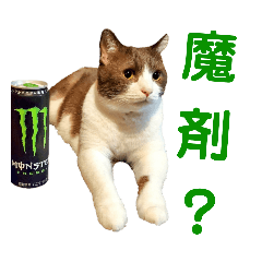 [LINEスタンプ] パンタソ スタンプ