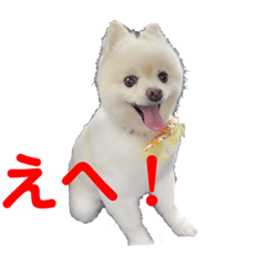 [LINEスタンプ] ぷっち2