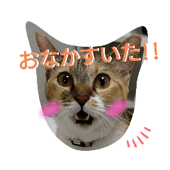 [LINEスタンプ] みあひめ