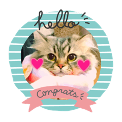 [LINEスタンプ] みぃむむぅみむにこ
