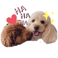 [LINEスタンプ] こむたん's   完全版