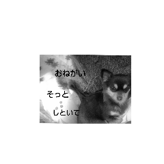 [LINEスタンプ] ohanaちん