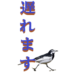 [LINEスタンプ] 仕事用で使う言葉を身近な鳥から～BIG
