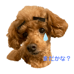 [LINEスタンプ] 我が家のさぶろーくん