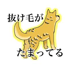 [LINEスタンプ] 犬のトリミングあるあるスタンプ